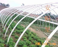 供應新型大棚支架 安陽星光種植技術開發引領農業現代化