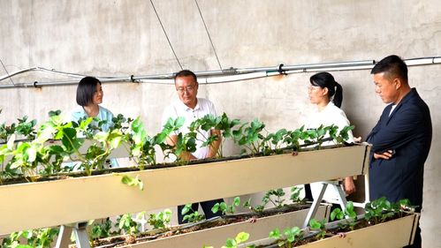 科技興農繪藍圖 縣委書記楊家佳深入調研，擘畫鄉村產業振興新路徑